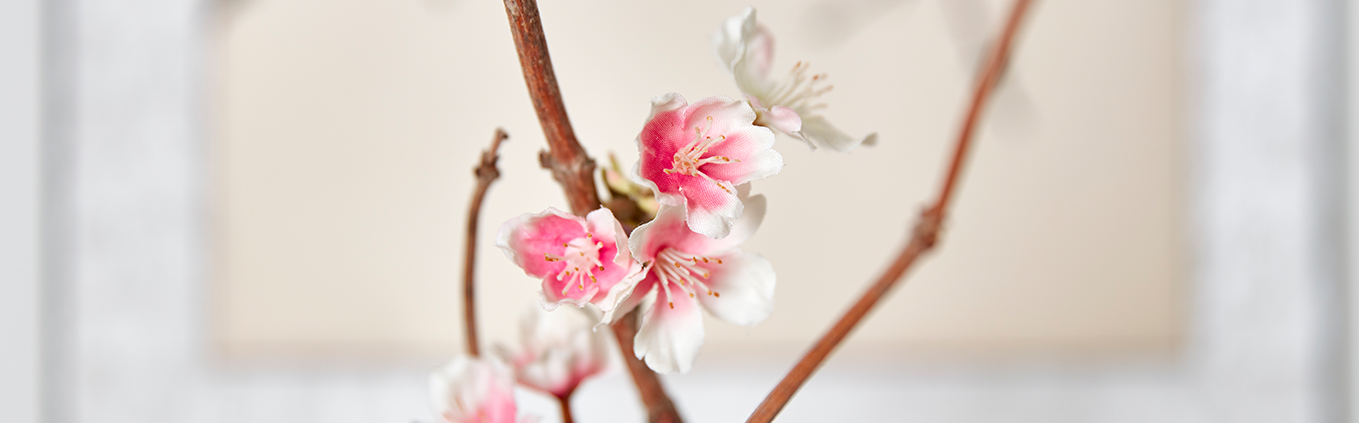 Akademie für Achtsamkeit – Mettameditation Blumen